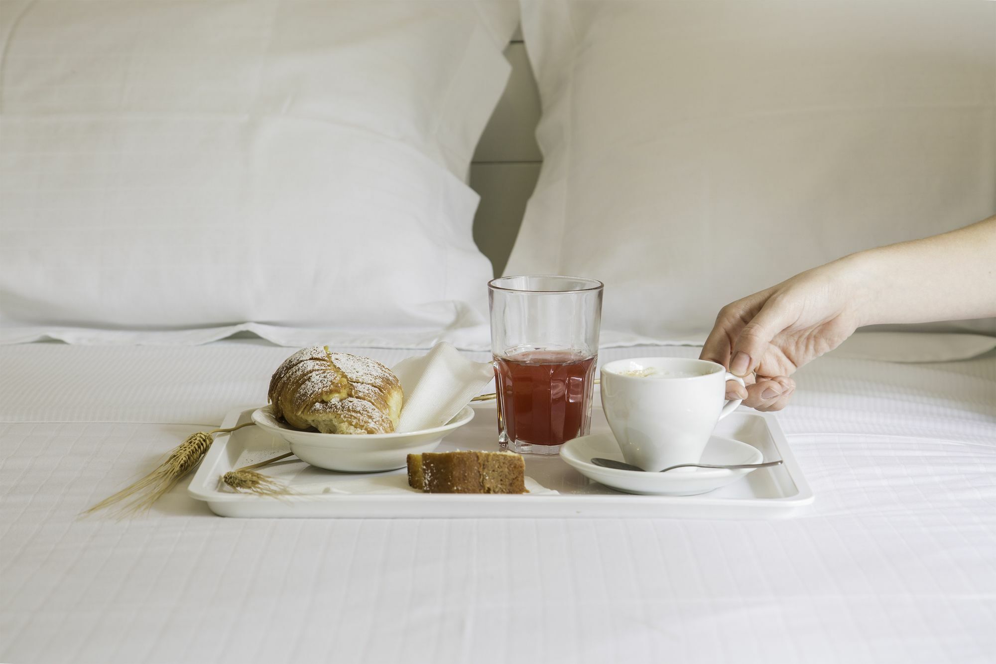 Roma Talenti Breme B&B Экстерьер фото