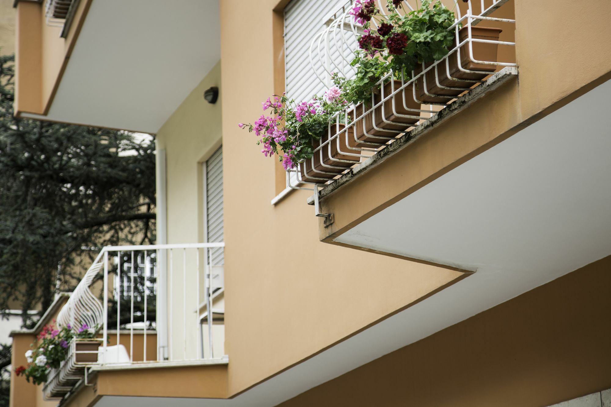 Roma Talenti Breme B&B Экстерьер фото